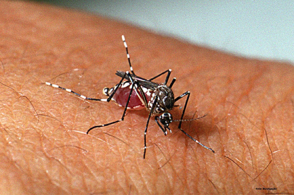 Mariana registra 105 casos de Dengue