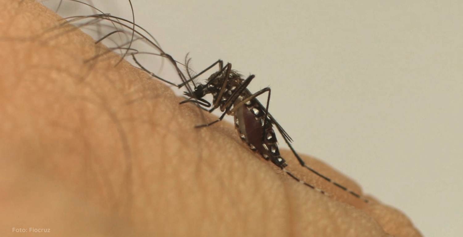Itabirito registra apenas quatro casos de dengue em 2023