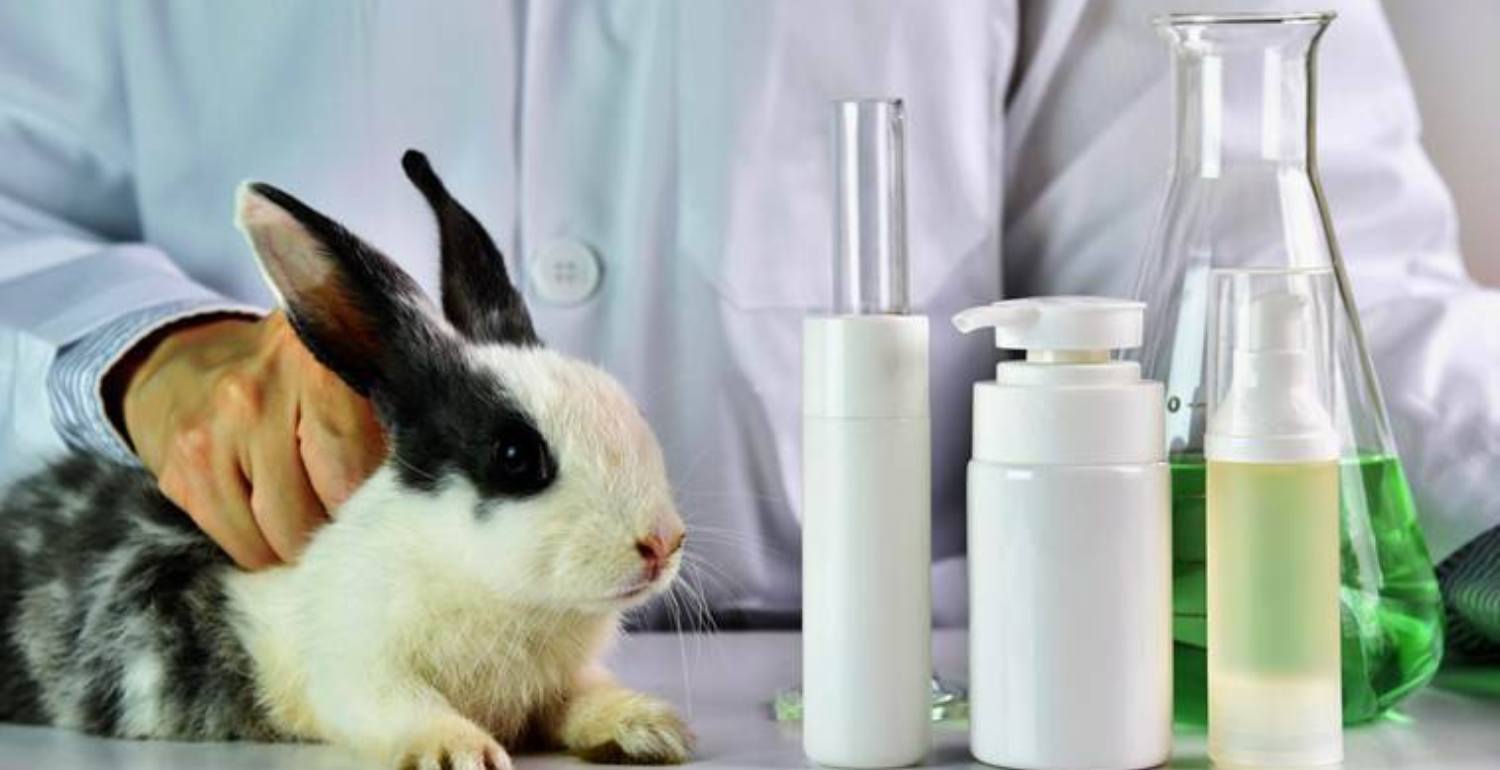 Uso de animais em testes de cosméticos e produtos de higiene está proibido no Brasil