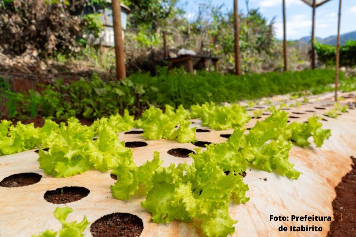 Prefeitura de Itabirito instala proteção do solo em propriedades de agricultores familiares