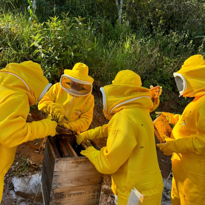 Entre alecrins e abelhas: Samarco e UFOP promovem curso de apicultura em Ouro Preto